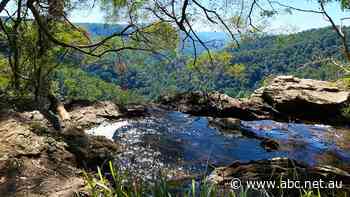Company reaches agreement with council to extract millions of litres of water a year near World Heritage-listed national park