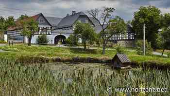 Funkes Tauschhandel in Thüringen: Digitalnachhilfe statt Zeitungsbote: Präzedenzfall für die Pressezustellung?