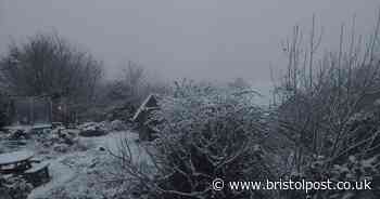 Snow in Bristol Live: Updates as the white stuff falls in Bristol
