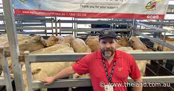 Flying high after charity sale | The First Draft