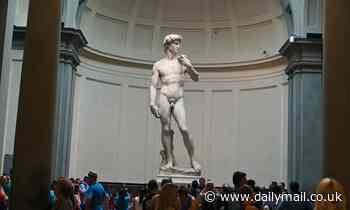 Michelangelo's David would look very different today! Size of 'ideal' penis has INCREASED