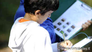 Rintraccia la traccia nel bosco del Cerquone