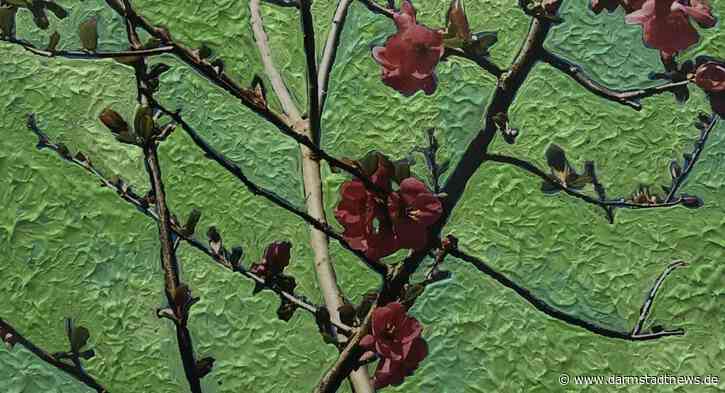 „Farbiges Vergnügen “ mit Bildern von Julia Philipps