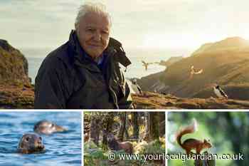 BBC Wild Isles filming locations: Where to see wildlife from series