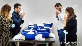 Die Genfer Konzerne Givaudan und Firmenich stehen im Visier der Wettbewerbshüter – ihre Marktmacht weist problematische Züge auf