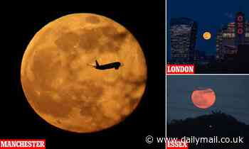 Full Worm Moon lights up the skies over London, Manchester and Essex