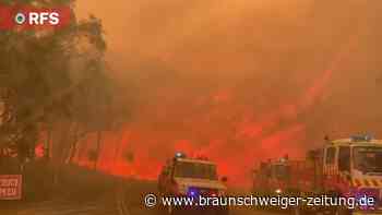 Buschfeuer in Australien außer Kontrolle