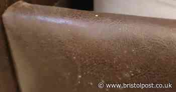 Bristol family in distress over mould on beds and “a ghost playing with wires” in their home