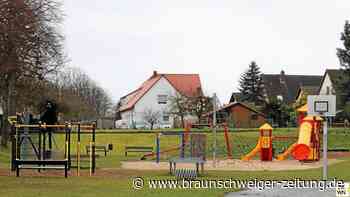 Tappenbecker Spielplatz erhält eine neue Nestschaukel