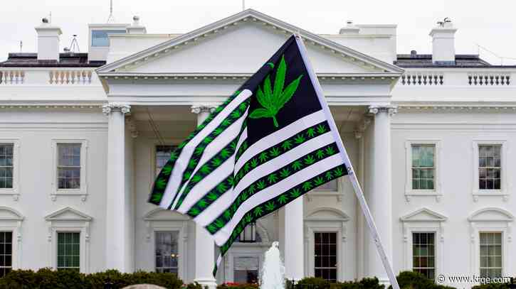 Americans now favor legal cannabis over legal tobacco