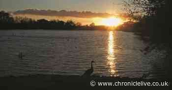 The Beast of Bolam Lake - and other fantastical tales from Northumberland