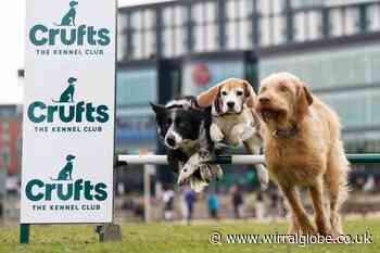 Crufts 2023: Everything you need to know about popular dog show