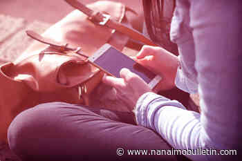 Editorial: Make online spaces safer for women and girls