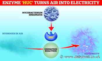 The key to unlimited clean energy? Scientists discover an enzyme that turns air into ELECTRICITY
