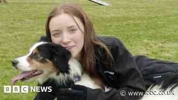 Cornwall girl who was terrified of dogs is ready for Crufts