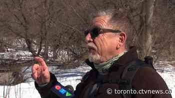 Environmental groups shocked after Metrolinx announces plan to chop 2,800 trees in the Don Valley
