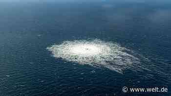 „Keine Militärs“ – Experte kann sich den Ablauf des Anschlags problemlos vorstellen