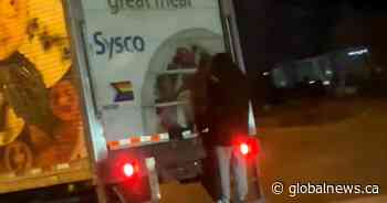 Shocking video shows person hanging onto back of truck on QEW