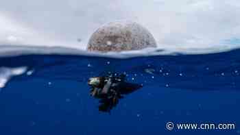 2.3 million tons of plastic in oceans after 'rapid and unprecedented' spike in pollution