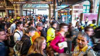 Sydney Trains rules out cyber attack after total network shutdown
