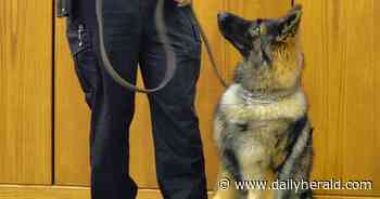 Retired Gurnee police dog dies