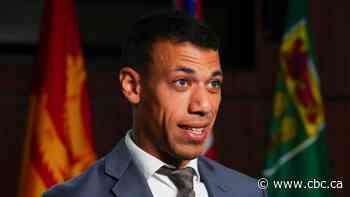 Green Party co-leader walks back comments suggesting Ukraine would push war into Russia