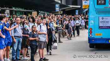 NSW Premier asks for fare-free day after commuters left stranded by rail shutdown