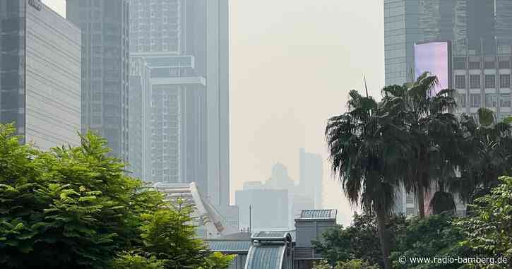 Smog in Thailand: Hunderttausende mit Gesundheitsbeschwerden