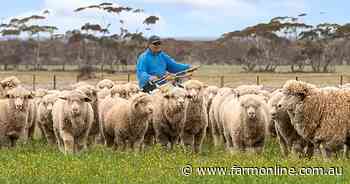 Two Mid North farms sold at auction