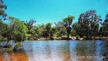 Ecotourism — and beef jerky — the latest hopes for jobs when Collie's coal-mining goes