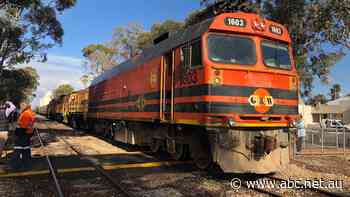 Major haulers push for SA rail freight's return with government financial support