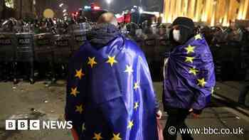 Georgia protests: Police push protesters back from parliament