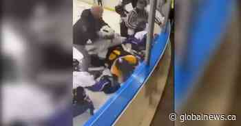 Edmonton hockey handshake brawl a ‘travesty to the game’: Officials