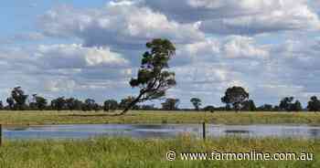 Pastures may need extra care after soggy season