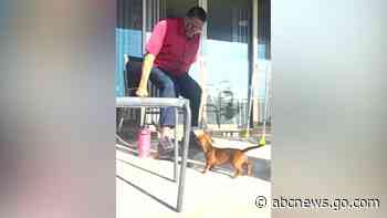 WATCH:  A grandpa is being kept active by his new puppy