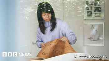 The mushrooms you can wear and build with