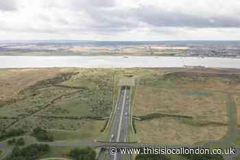 Lower Thames Crossing: Campaigners make smart motorway claim