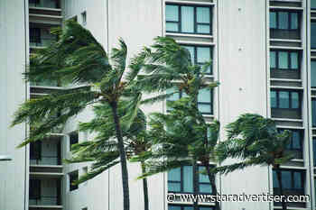 Mighty gusts knock down trees, power lines across Hawaii