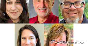 What motivated the candidates in Dist. 62 to run