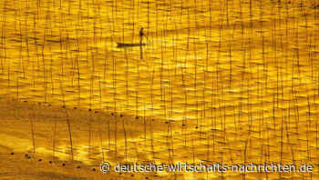 Asiatische Zentralbanken setzen auf Gold