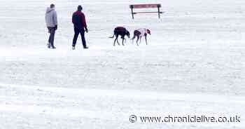 When it will snow again as North East remains in grip of wintry weather
