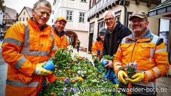 Nagolder Blumenswing: In der Marktstraße blüht es schon wieder prächtig