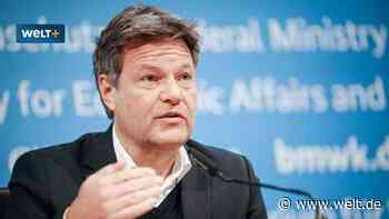 Nur noch Wärmepumpen? Immerhin ein Zugeständnis macht Habeck