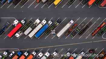 Trucks: Wer wird gewinnen?