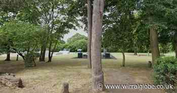 Ellesmere Port: Three teenagers arrested following assaults