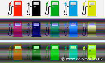How many colors do YOU see? Mind-blowing optical illusion makes fuel pumps appear to change hues