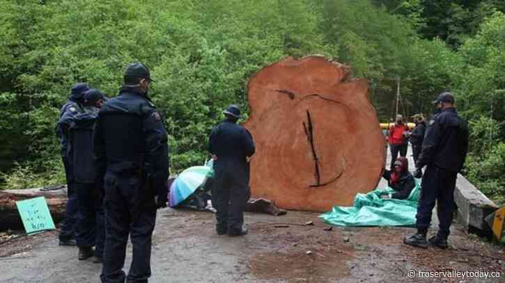 RCMP watchdog investigates force how B.C. unit handles resource project protests