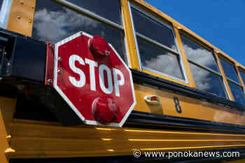 Alberta budget could make room for savings on school bus fees in Central Alberta: SD 73