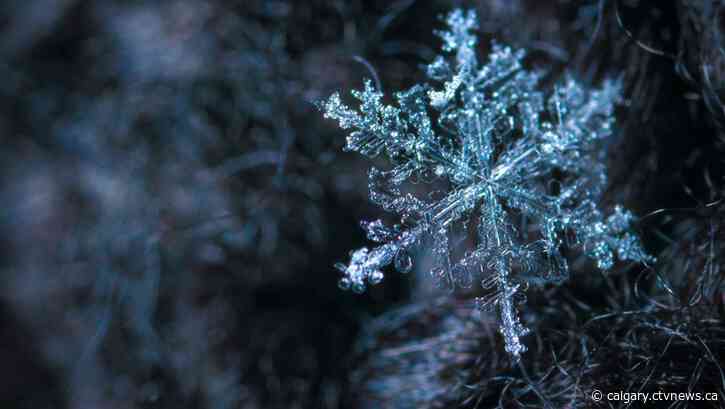 Snowstorm ahead? Special weather statement in effect in southern Alberta