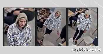 Calgary police seek info on suspect who they say assaulted senior at Central Library